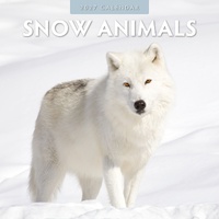 Snow Animals - 2027 Red Robin Square Wall Calendar Monthly Planner