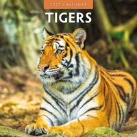 Tigers - 2027 Red Robin Square Wall Calendar Monthly Planner
