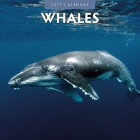Whales - 2027 Red Robin Square Wall Calendar Monthly Planner