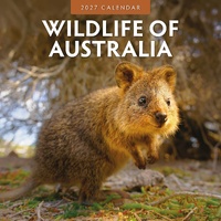 Wildlife of Australia - 2027 Red Robin Square Wall Calendar Monthly Planner