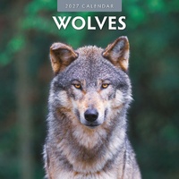 Wolves  - 2027 Red Robin Square Wall Calendar Monthly Planner