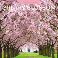 Cherry Blossom - 2027 Red Robin Square Wall Calendar Monthly Planner