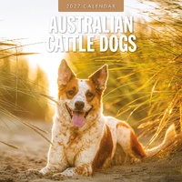 Australian Cattle Dogs - 2027 Red Robin Square Wall Calendar Planner