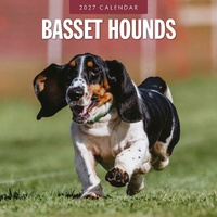Basset Hounds - 2027 Red Robin Square Wall Calendar Monthly Planner