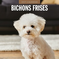 Bichons Frises - 2027 Red Robin Square Wall Calendar Monthly Planner