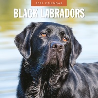 Black Labradors - 2027 Red Robin Square Wall Calendar Monthly Planner