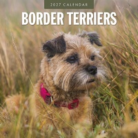 Border Terriers - 2027 Red Robin Square Wall Calendar Monthly Planner