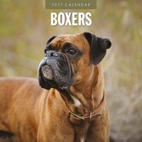 Boxers - 2027 Red Robin Square Wall Calendar Monthly Planner