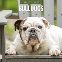 Bulldogs - 2027 Red Robin Square Wall Calendar Monthly Planner