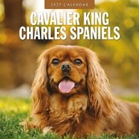 Cavalier King Charles Spaniels - 2027 Red Robin Square Wall Calendar