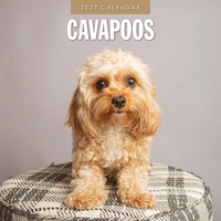 Cavapoos - 2027 Red Robin Square Wall Calendar Monthly Planner
