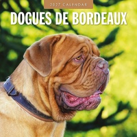 Dogues de Bordeaux - 2027 Red Robin Square Wall Calendar Monthly Planner