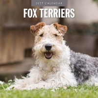 Fox Terriers - 2027 Red Robin Square Wall Calendar Monthly Planner