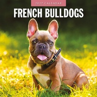 French Bulldogs - 2027 Red Robin Square Wall Calendar Monthly Planner