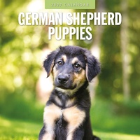German Shepherd Puppies - 2027 Red Robin Square Wall Calendar Planner