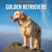 Golden Retrievers - 2027 Red Robin Square Wall Calendar Monthly Planner