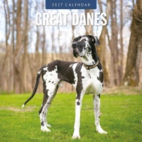 Great Danes - 2027 Red Robin Square Wall Calendar Monthly Planner