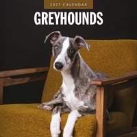 Greyhounds - 2027 Red Robin Square Wall Calendar Monthly Planner