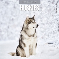 Huskies - 2027 Red Robin Square Wall Calendar Monthly Planner