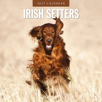 Irish Setters - 2027 Red Robin Square Wall Calendar Monthly Planner