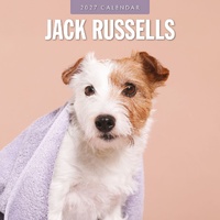 Jack Russells  - 2027 Red Robin Square Wall Calendar Monthly Planner