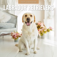 Labrador Retrievers - 2027 Red Robin Square Wall Calendar Monthly Planner