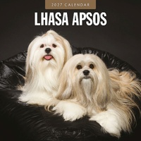 Lhasa Apsos - 2027 Red Robin Square Wall Calendar Monthly Planner