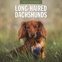 Long-haired Dachshunds - 2027 Red Robin Square Wall Calendar Planner