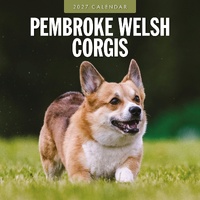 Pembroke Welsh Corgis - 2027 Red Robin Square Wall Calendar Monthly Planner