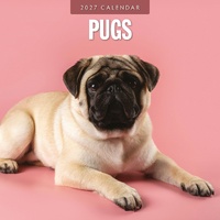 Pugs - 2027 Red Robin Square Wall Calendar Monthly Planner