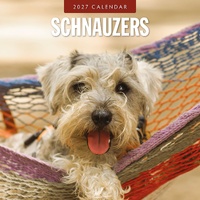 Schnauzer - 2027 Red Robin Square Wall Calendar Monthly Planner