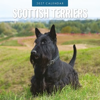 Scottish Terriers - 2027 Red Robin Square Wall Calendar Monthly Planner
