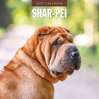 Shar-Pei - 2027 Red Robin Square Wall Calendar Monthly Planner