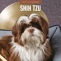 Shih Tzu - 2027 Red Robin Square Wall Calendar Monthly Planner