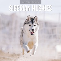Siberian Huskies - 2027 Red Robin Square Wall Calendar Monthly Planner