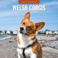 Welsh Corgis - 2027 Red Robin Square Wall Calendar Monthly Planner
