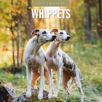 Whippets - 2027 Red Robin Square Wall Calendar Monthly Planner