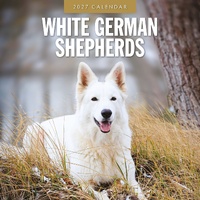 White German Shepherds - 2027 Red Robin Square Wall Calendar Planner