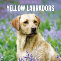 Yellow Labrador - 2027 Red Robin Square Wall Calendar Monthly Planner