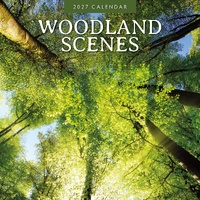 Woodland Scenes - 2027 Red Robin Square Wall Calendar Monthly Planner