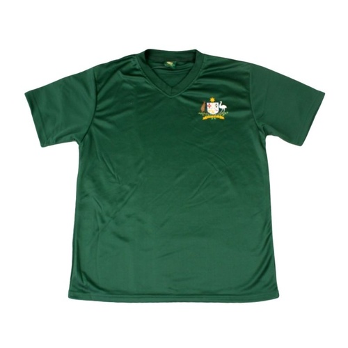 Adult Mens Sports Soccer Football Rugby Jersey Top T Shirt Australia Souvenir B [Colour: Green] [Size: M] 
