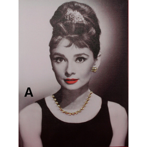 Canvas Print Mounted on Frame Audrey Hepburnw Jewels Ready to Hang Art 40x30cm [Design: A]