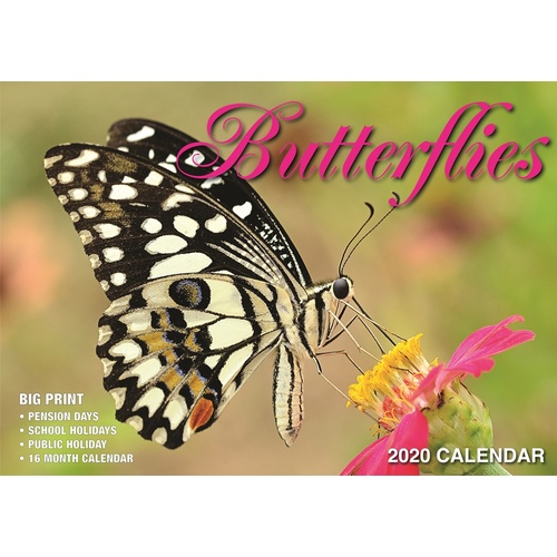 Butterflies - 2020 Rectangle Wall Calendar 16 Months by Bartel (A)