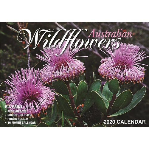 Australian Wildflowers - 2020 Rectangle Wall Calendar 16 Months by Bartel (B)