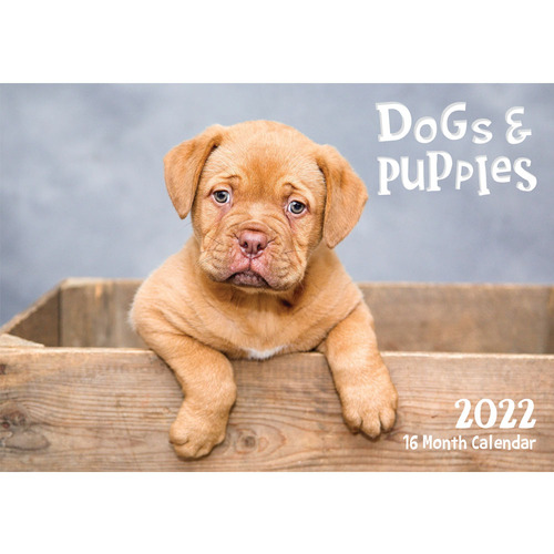 Dogs & Puppies - 2022 Rectangle Wall Calendar 16 Months by Biscay 