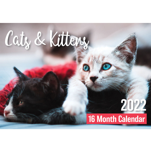 Cats & Kittens - 2022 Rectangle Wall Calendar 16 Months by Biscay 
