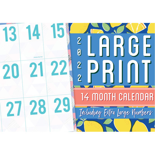 Large Print - 2022 Rectangle Wall Calendar 14 Months by Biscay 