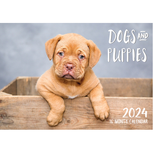 Dogs & Puppies - 2024 Rectangle Wall Calendar 16 Months by Biscay