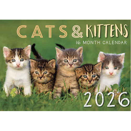 Cats And Kittens - 2026 Rectangle Wall Calendar 16 Months by Design Group