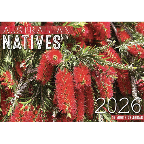 Australian Natives - 2026 Rectangle Wall Calendar 16 Months by Design Group